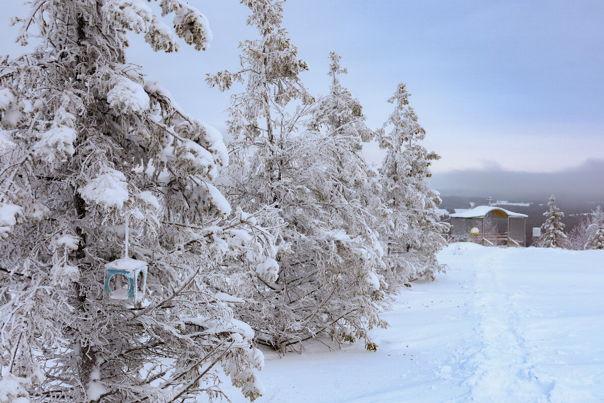 ПО НАРОДНЫМ ПРИМЕТАМ, ПОГОДА В ЭТОТ ДЕНЬ ГОВОРИТ О ТОМ, КАКИМ БУДЕТ ИЮЛЬ. ФОТО: ELENA MAYOROVA/GLOBALLOOKPRESS