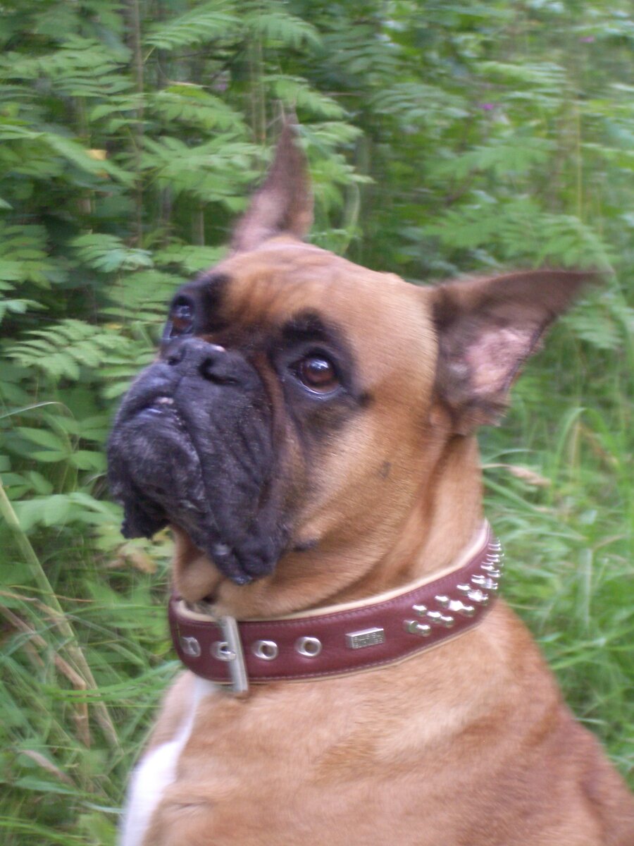 Дана (8,5 лет). (Фотографии из личного архива)


