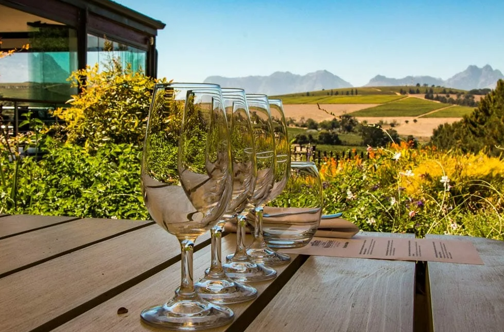 Wine Route South Africa