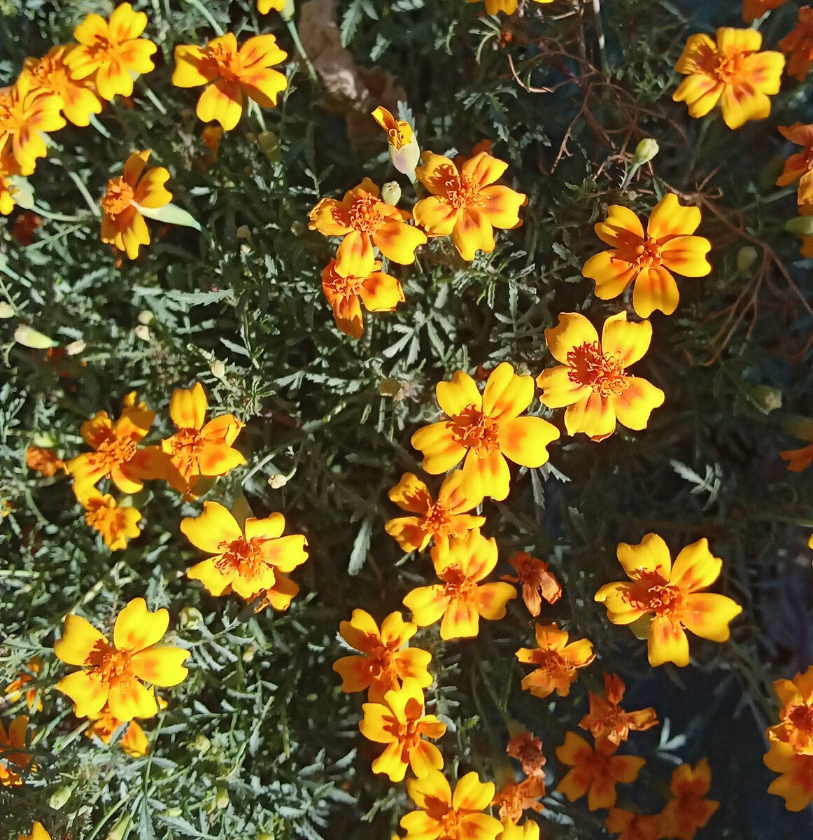 Фото автора канала