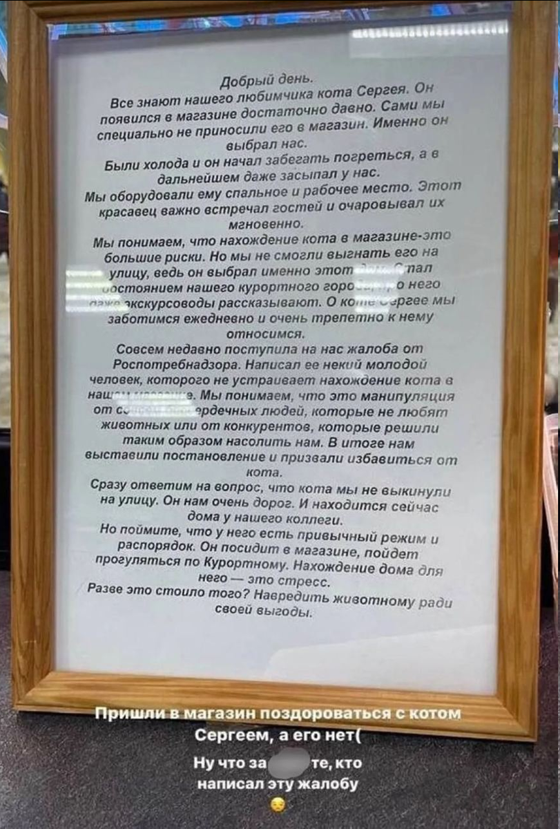 Уволили кота сергея