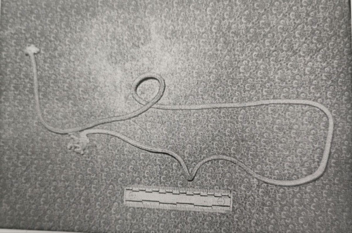    Бездомный омич убил пенсионерку, которая приютила его