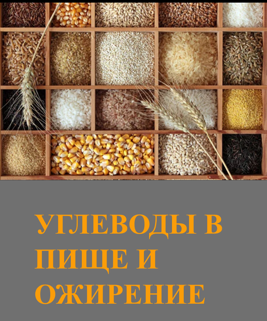 Влияние углеводов на похудение (лишний вес и ожирение) | Доктор Андрей  Юрьевич Лобузнов | Дзен