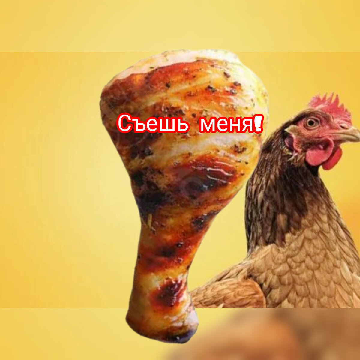 С радостью!