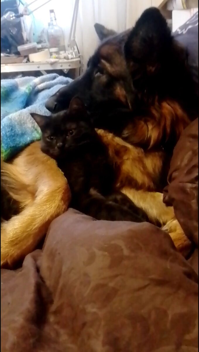 Личное фото