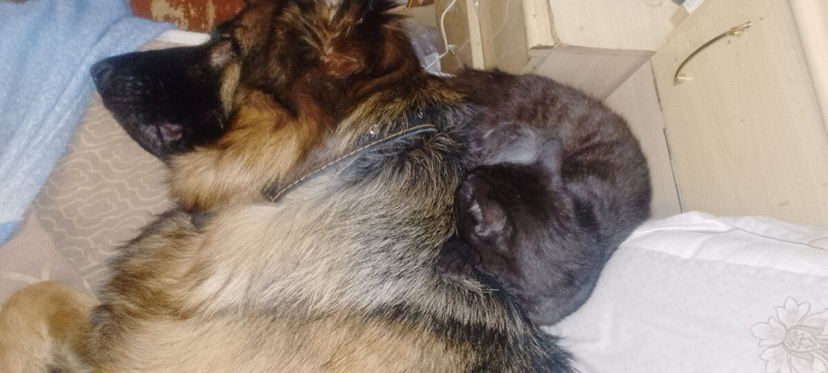 Личное фото