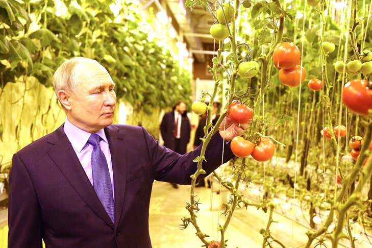    Выращенные на Чукотке помидоры дешевле, чем привозные. Фото с сайта kremlin.ru