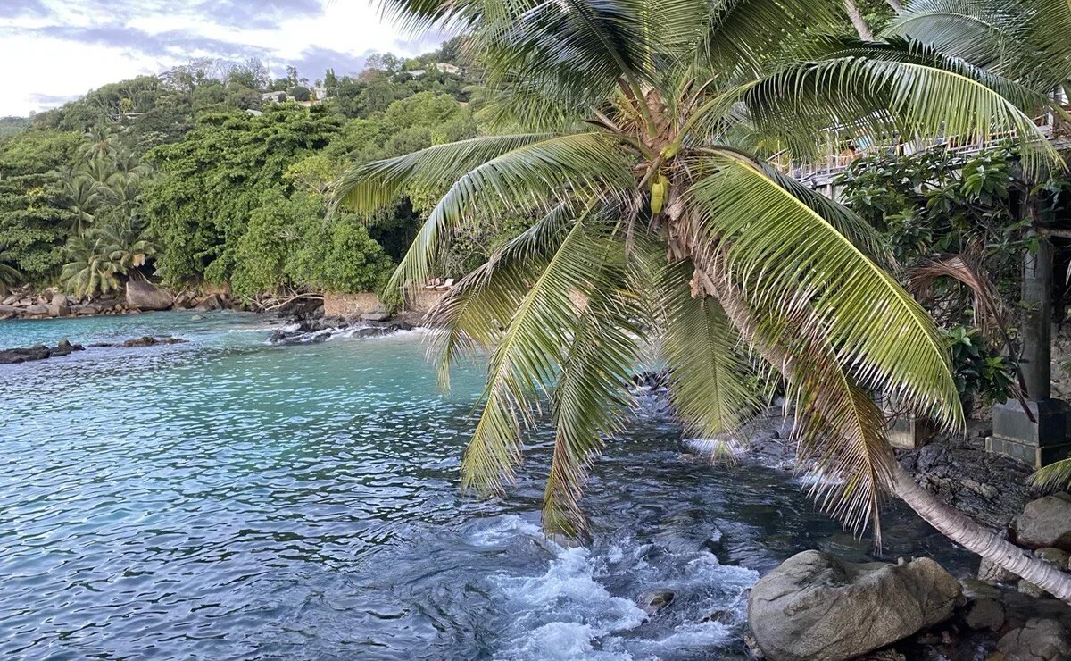    Россия установила новый исторический рекорд по турпотоку на Сейшелы