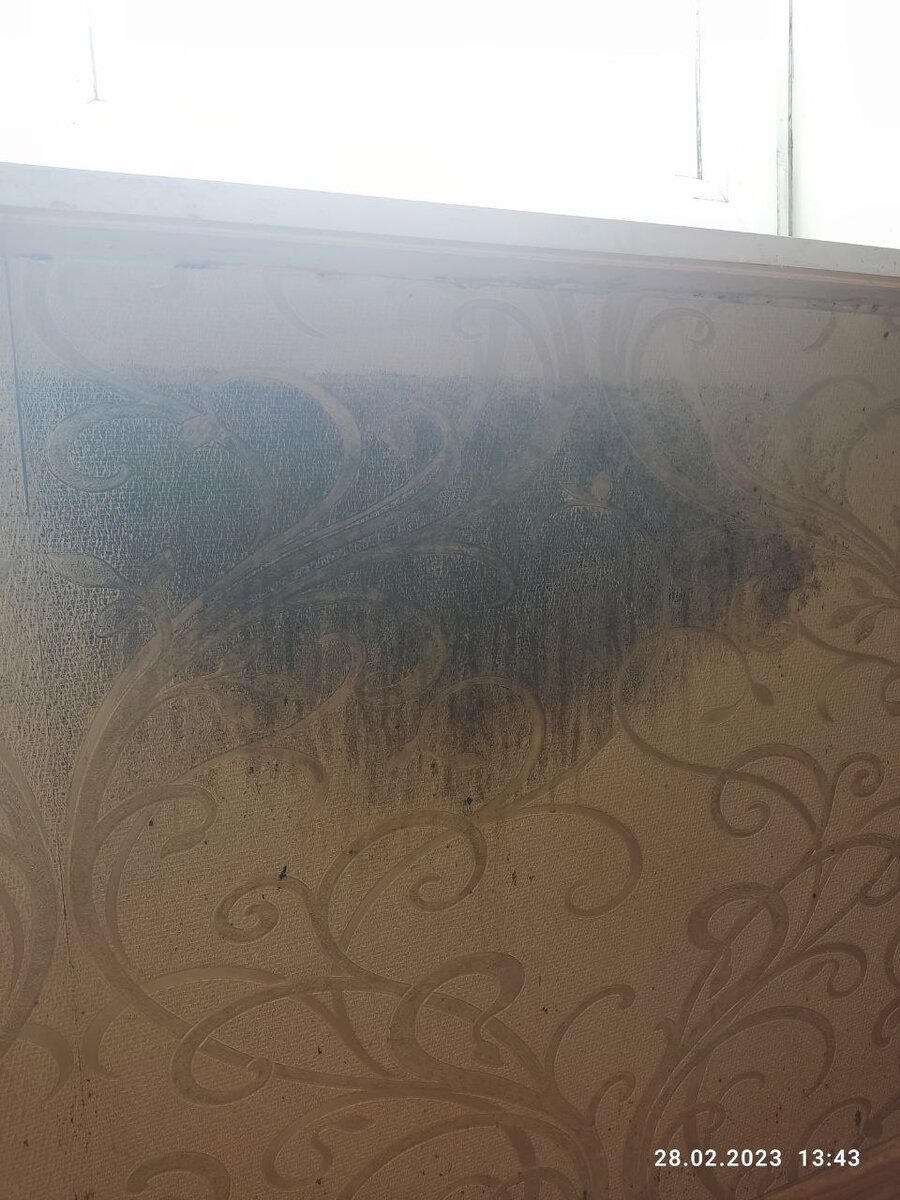 фото из личного архива