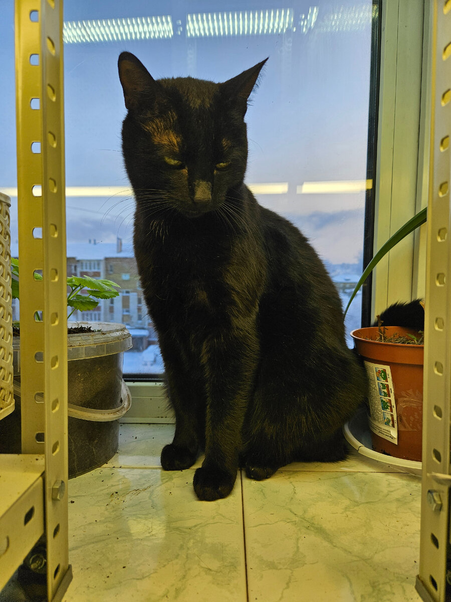 Он знает, он знает всё, всё, что сокрыто от нас.