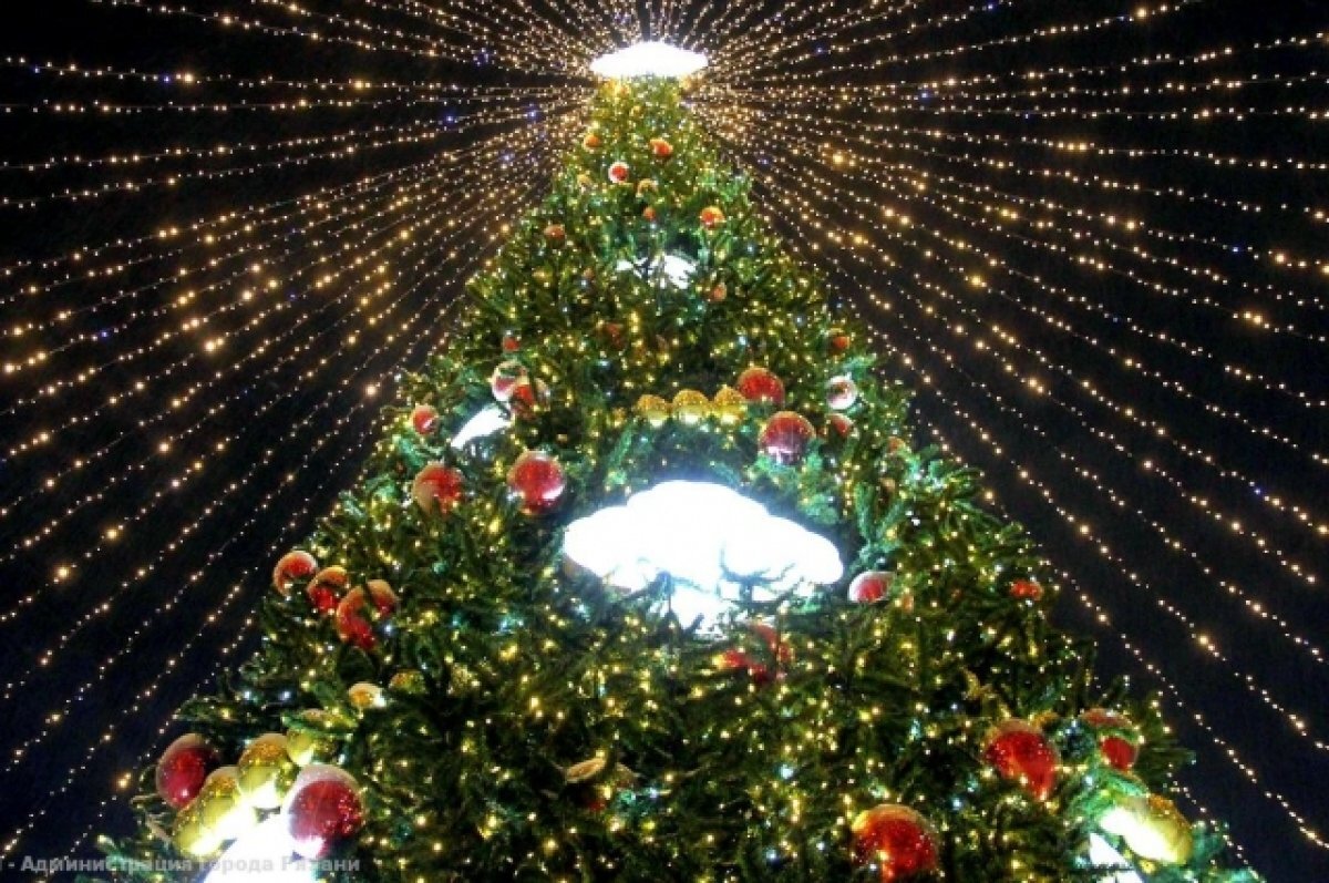    В Рязанской области в период новогодних праздников турпоток возрос на 8%