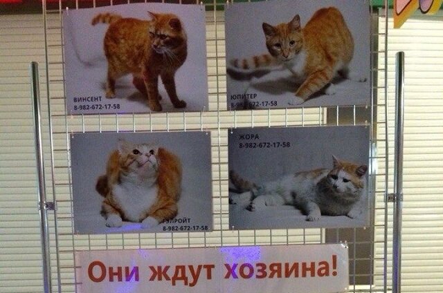    Фото: личный архив/ Александр Осипов