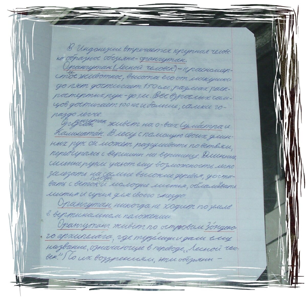 Реферат ученика 4 класса "Орангутанг - животное из Красной книги".