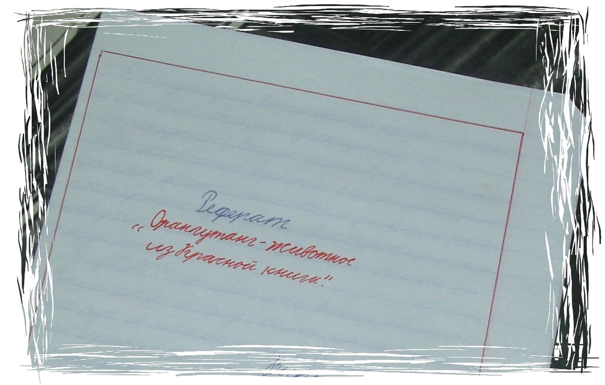 Реферат ученика 4 класса "Орангутанг - животное из Красной книги".