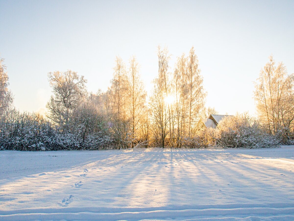 Фото: Павел Борисов