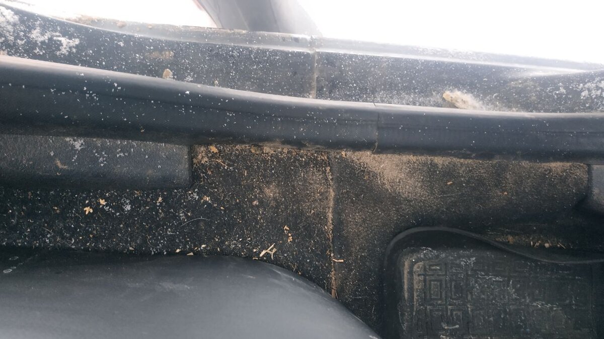 То место, где постоянно грязь