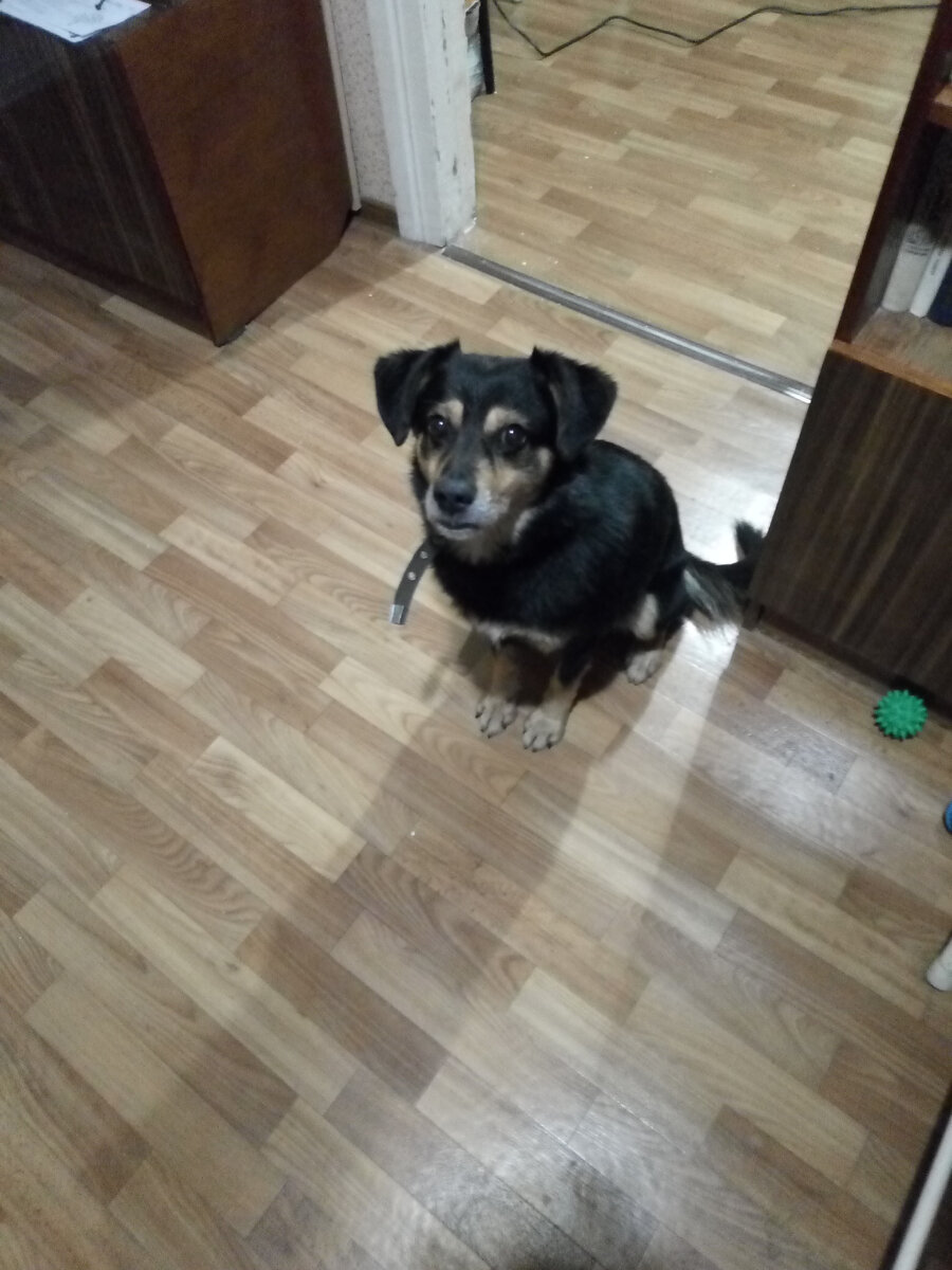 Малыш сначала очень всего боялся