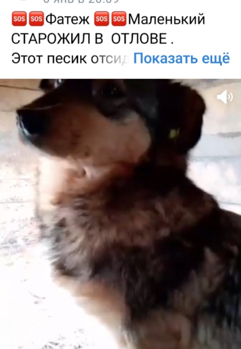 Всегда стараемся писать посты, кто сидит в отловах.