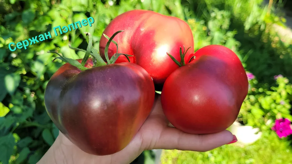 В 2023 он у меня раскрыл полностью всю свою красоту и вкус!