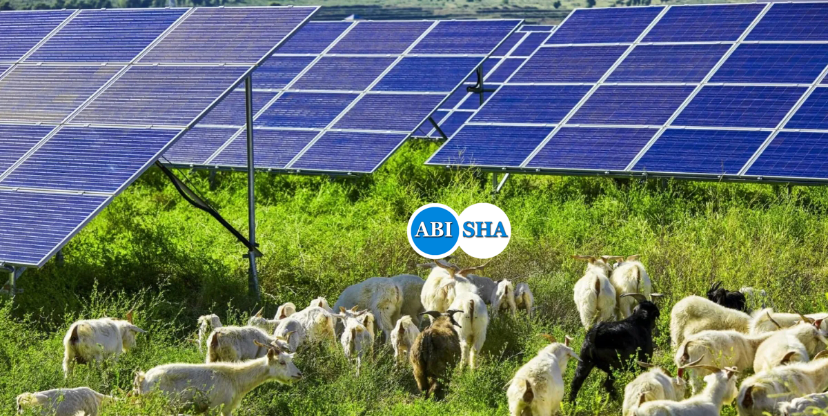 Хорошие новости: мир может утроить использование возобновляемых источников энергии к 2030 году.