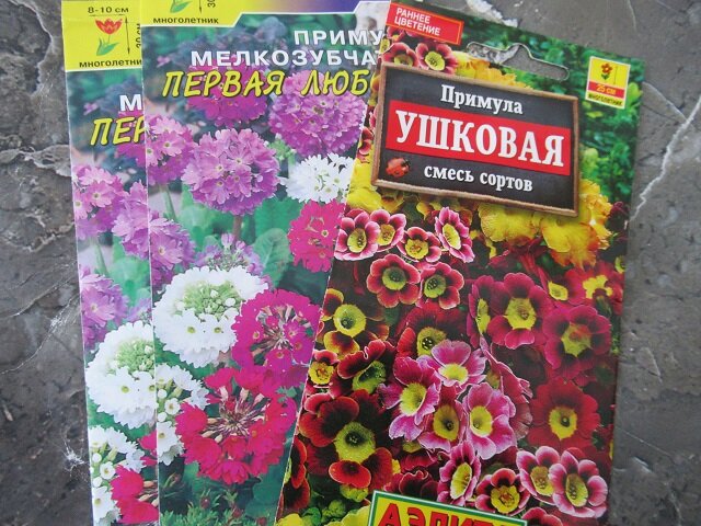 Какие семена цветов сеять и отправлять на стратификацию в январе: мой ...