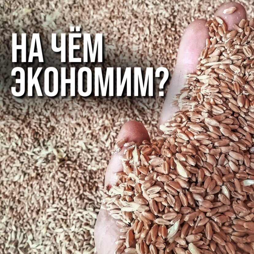 НА ЧЁМ ЭКОНОМИМ?