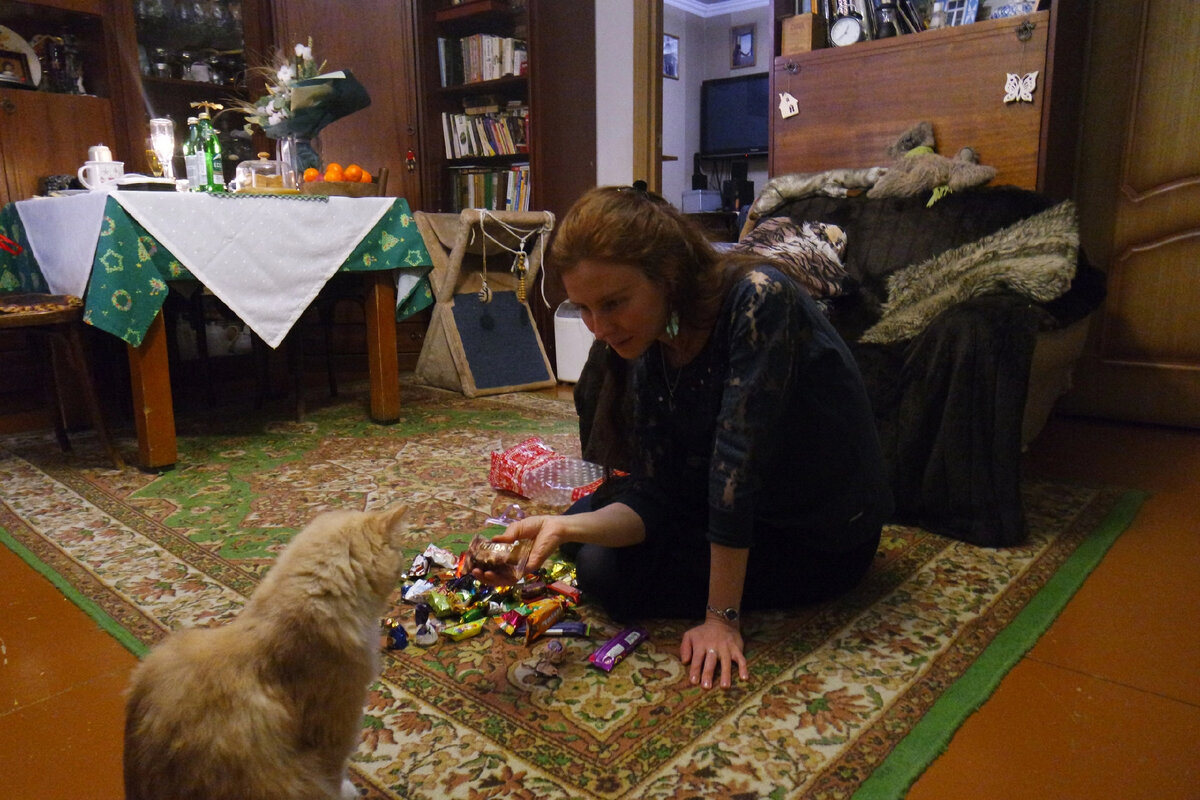 Кот инспектирует подарок