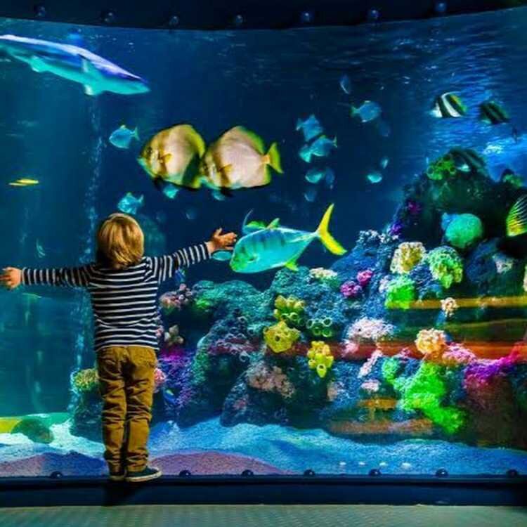 Океанариум Вологда.