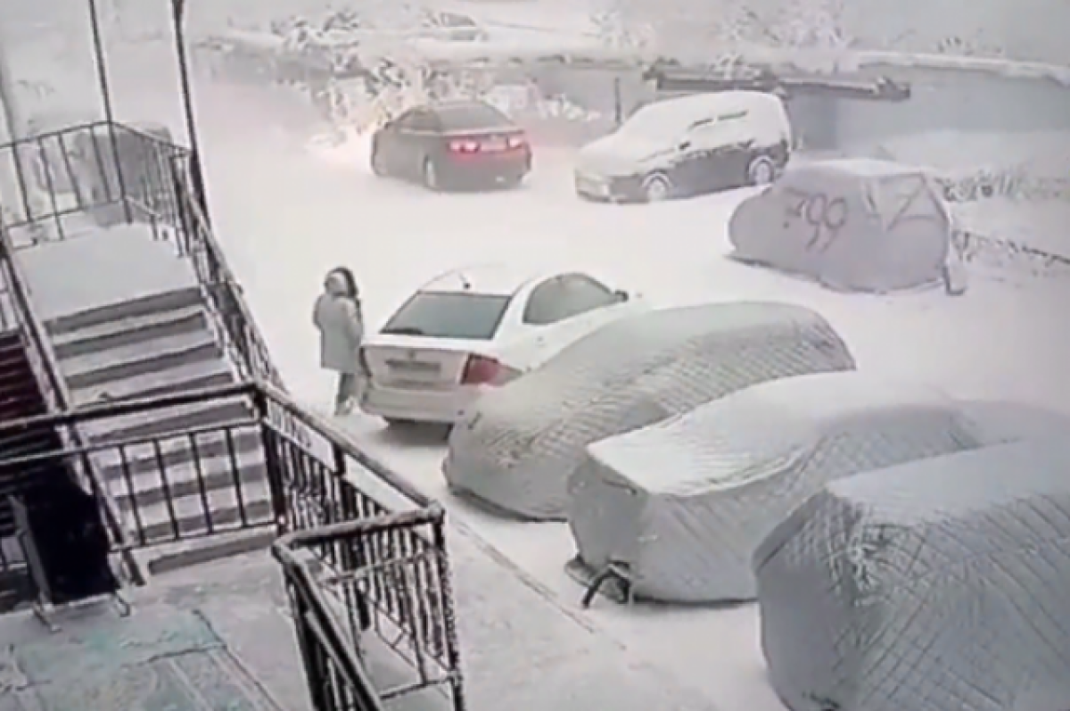    Жительница Якутска направила в полицию 93 заявления по различным поводам