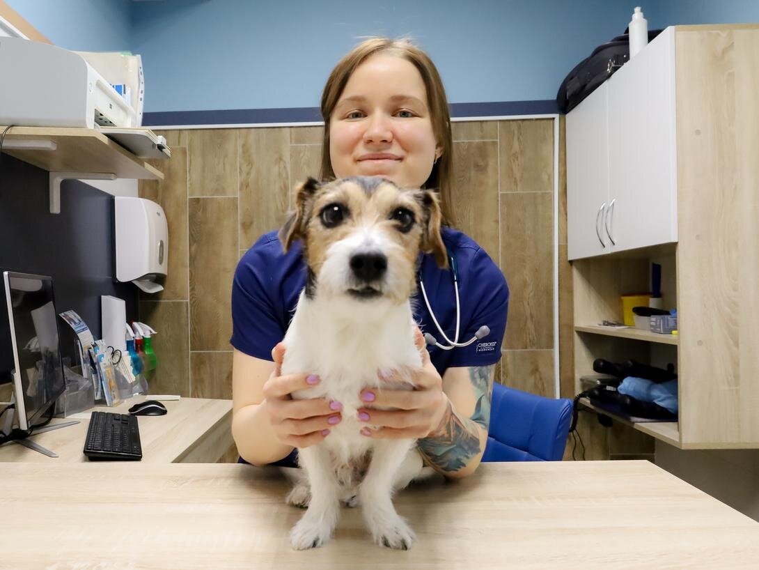 Фото: Антон Берг