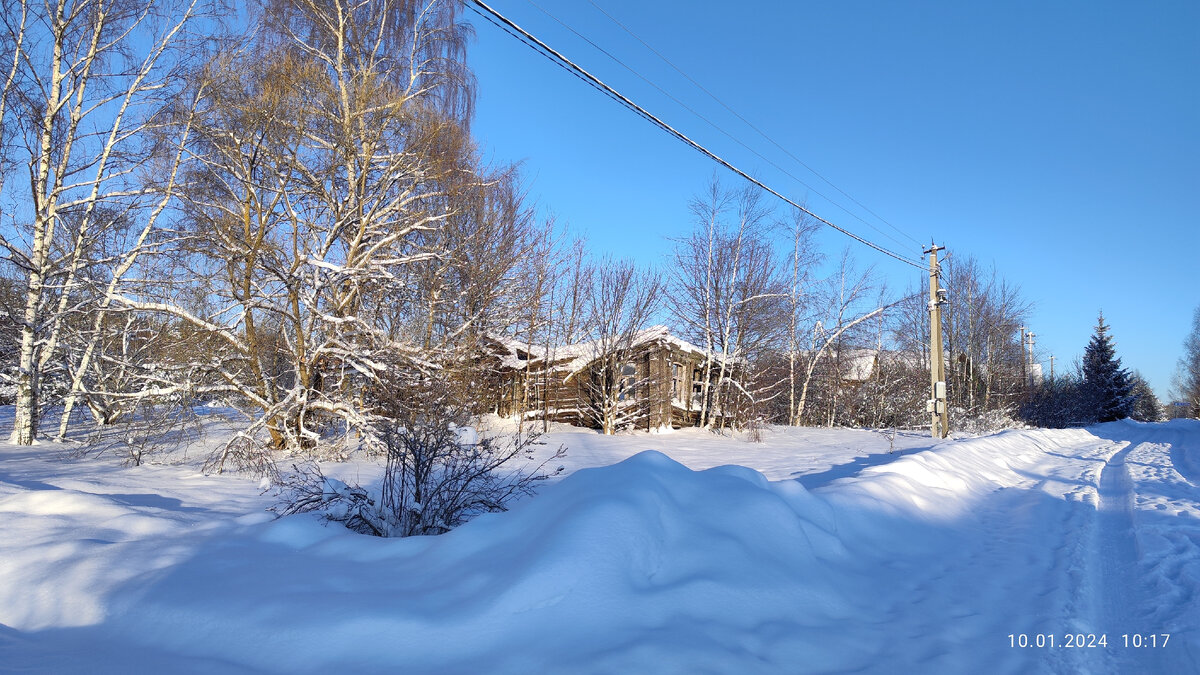 Утром гулял, играл в Балто, относил лекарство.
