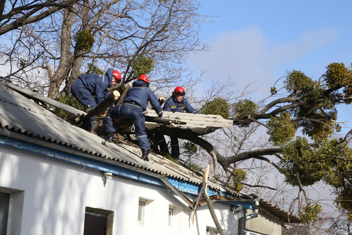 Фото: Наталья Сомова