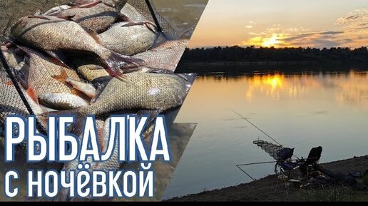 Рыбалка с ночевкой. Ловля леща и язя. Фидер на сильном течении