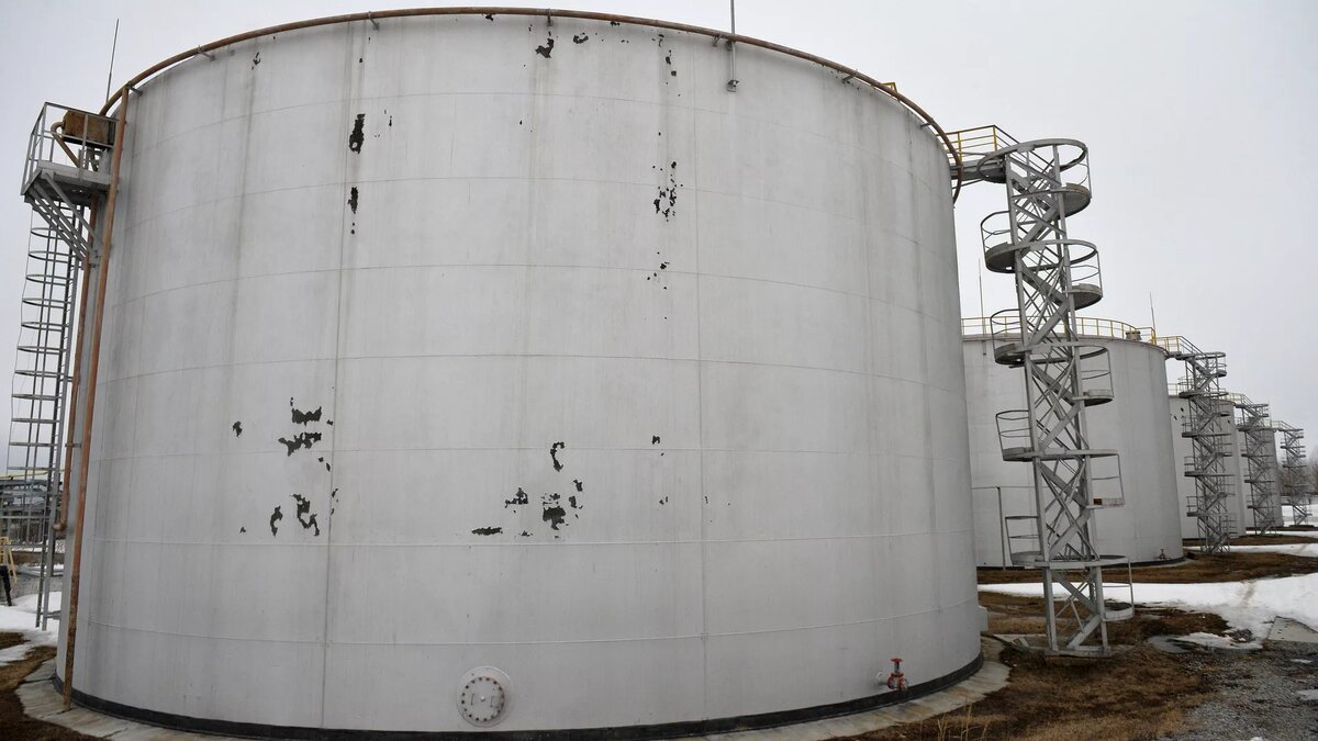 © Sputnik / Максим Богодвид