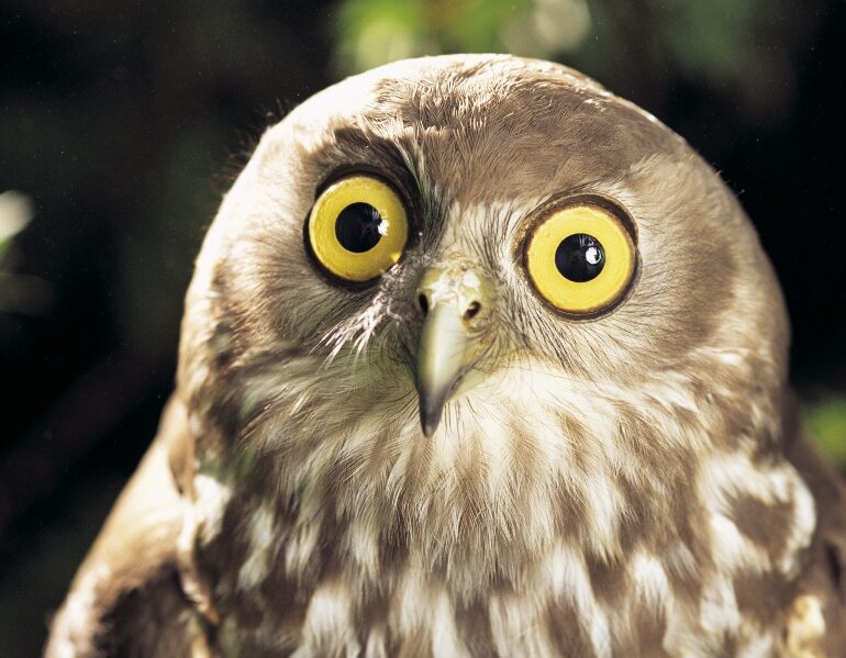 Фото: 404store.com