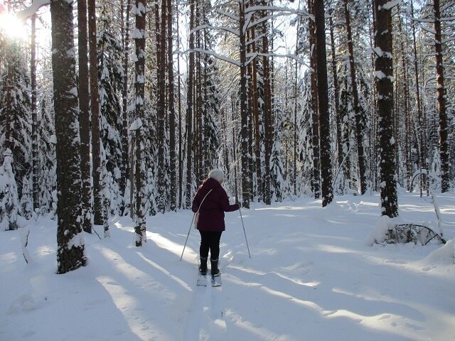    В Керженском заповеднике рекомендуют покататься на лыжах