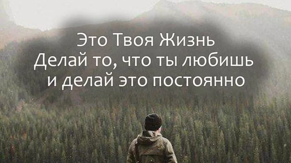 Несколько жизней души. Несколько жизней души