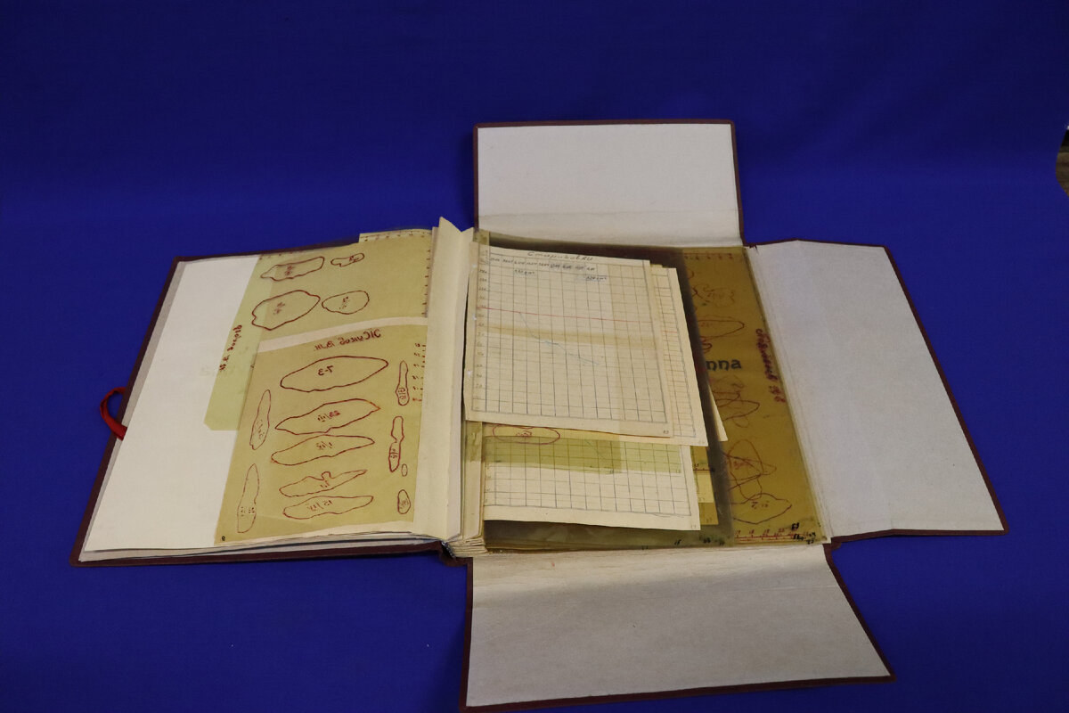 Р.Л. Шув. «Роль дрожжей в питании  Красной армии. Влияние дрожжей на организм раненого.» 1943 г. Из коллекции Военно-медицинского музея. 