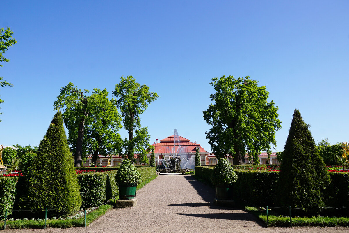 Монплезирский сад. Фото автора. 