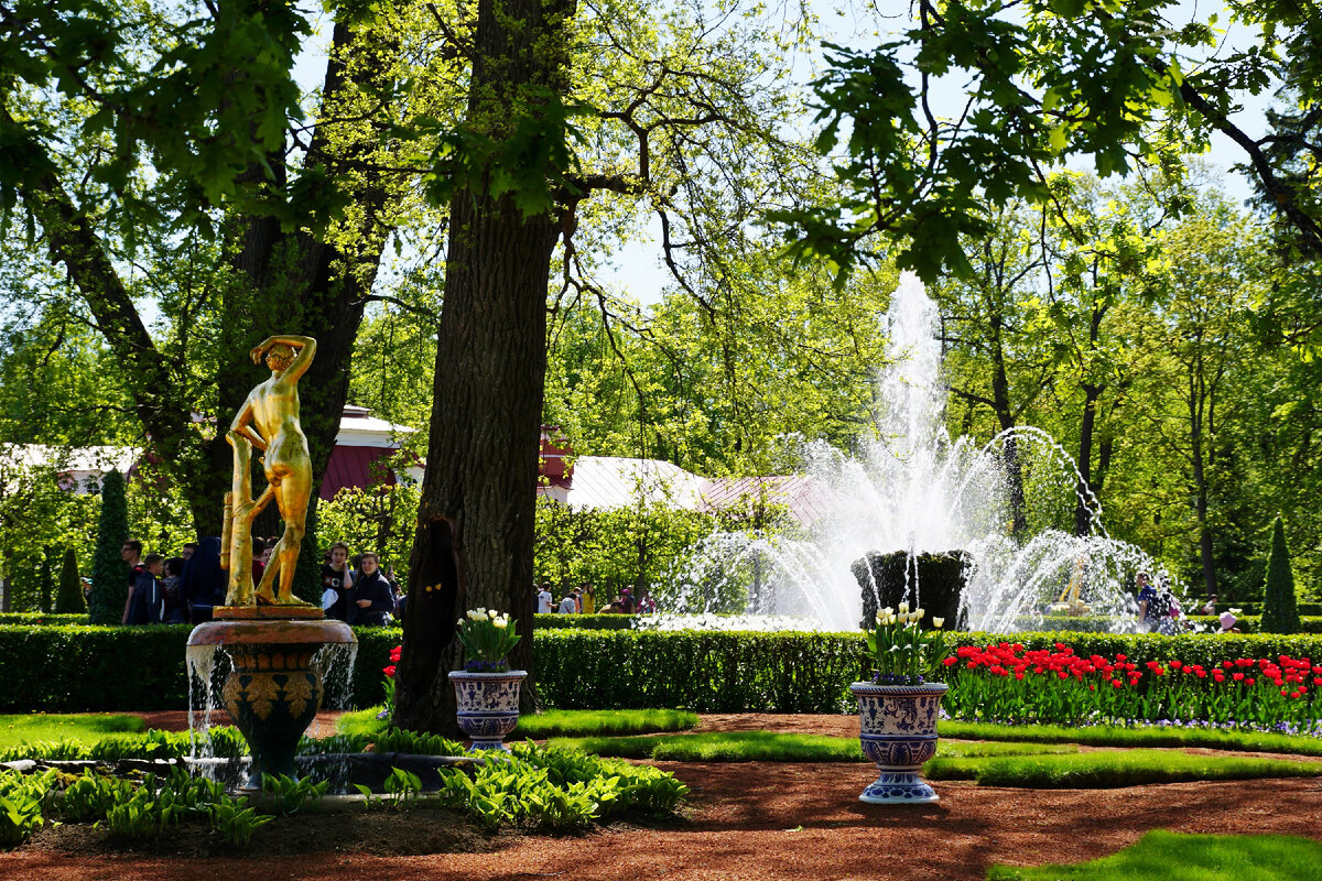 Монплезирский сад. Фото автора. 