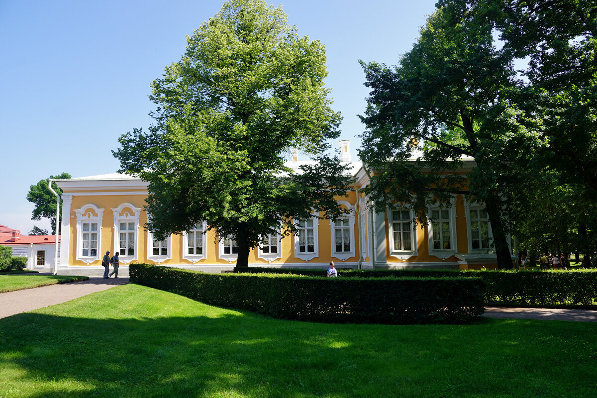 Петергоф корпуса
