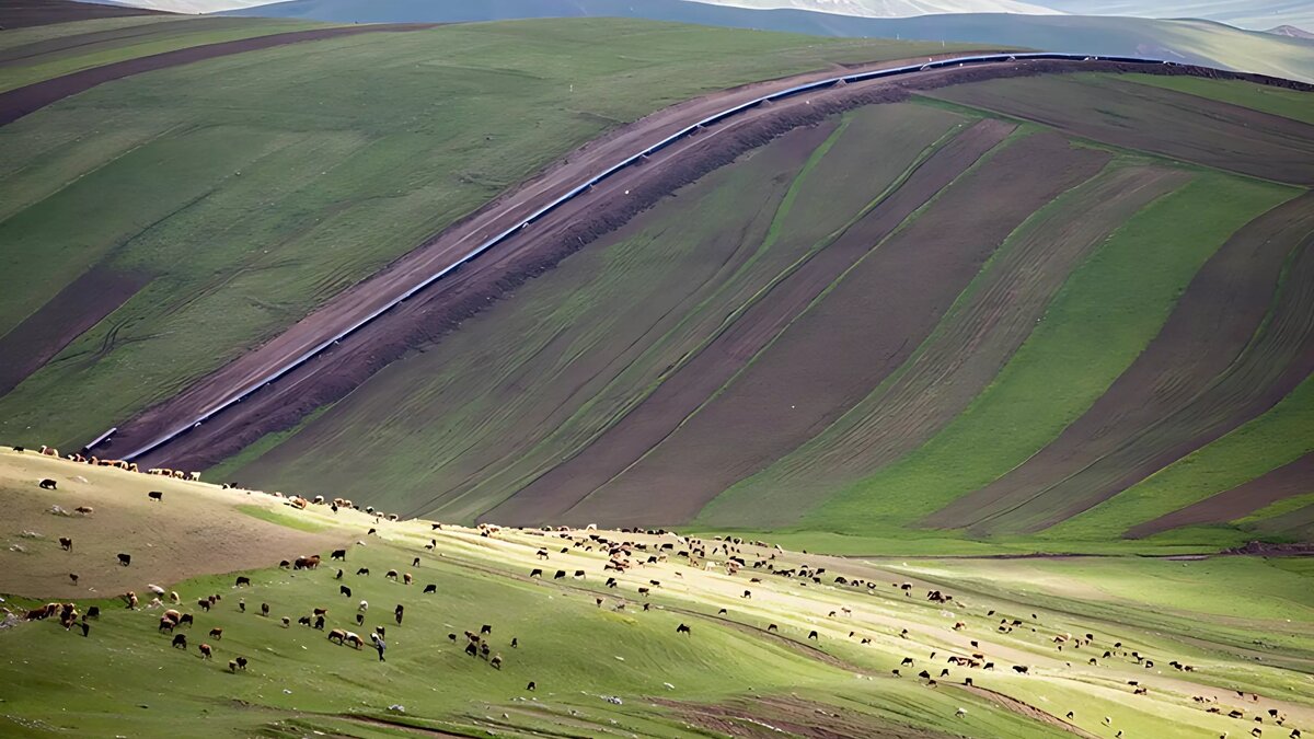     Из 23,8 млрд кубометров экспортированного Азербайджаном газа 11,8 млрд кубометров ушло в страны ЕС