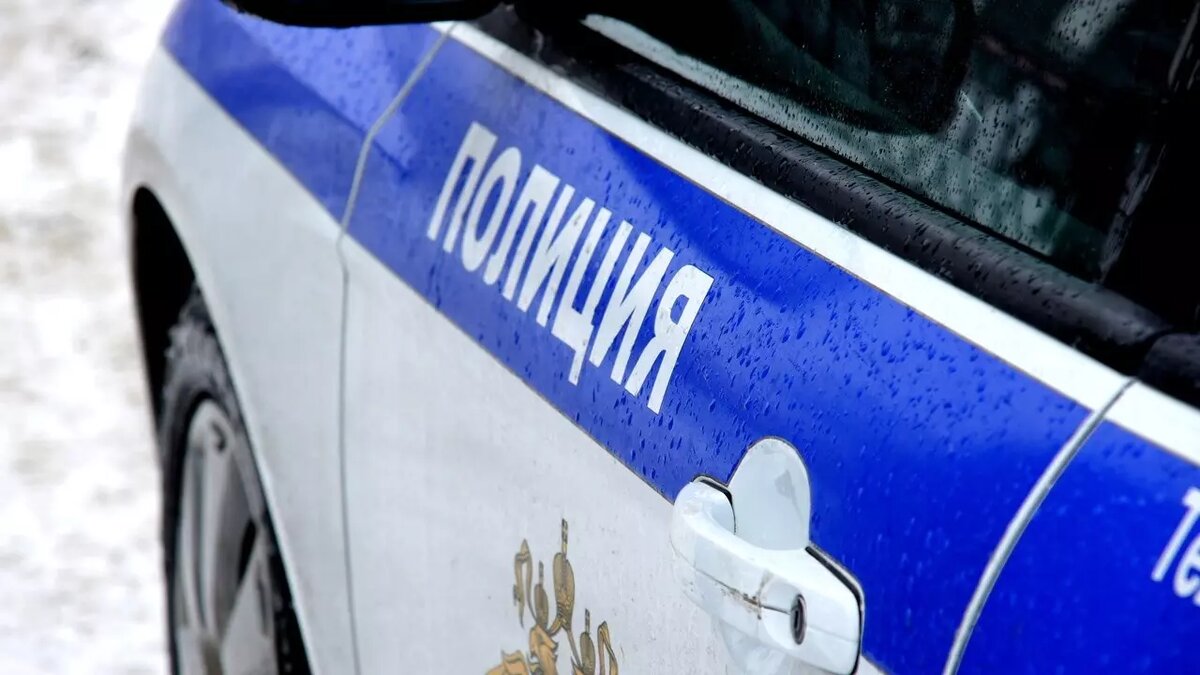     Автоинспекторы оказали помощь путешественникам из Петербурга, оказавшимся в трудной ситуации на дороге, об этом рассказали в пресс-службе карельского МВД.