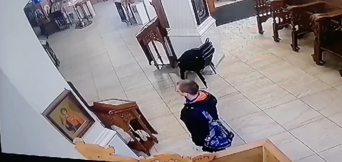 © МВД России/скриншот видео 
