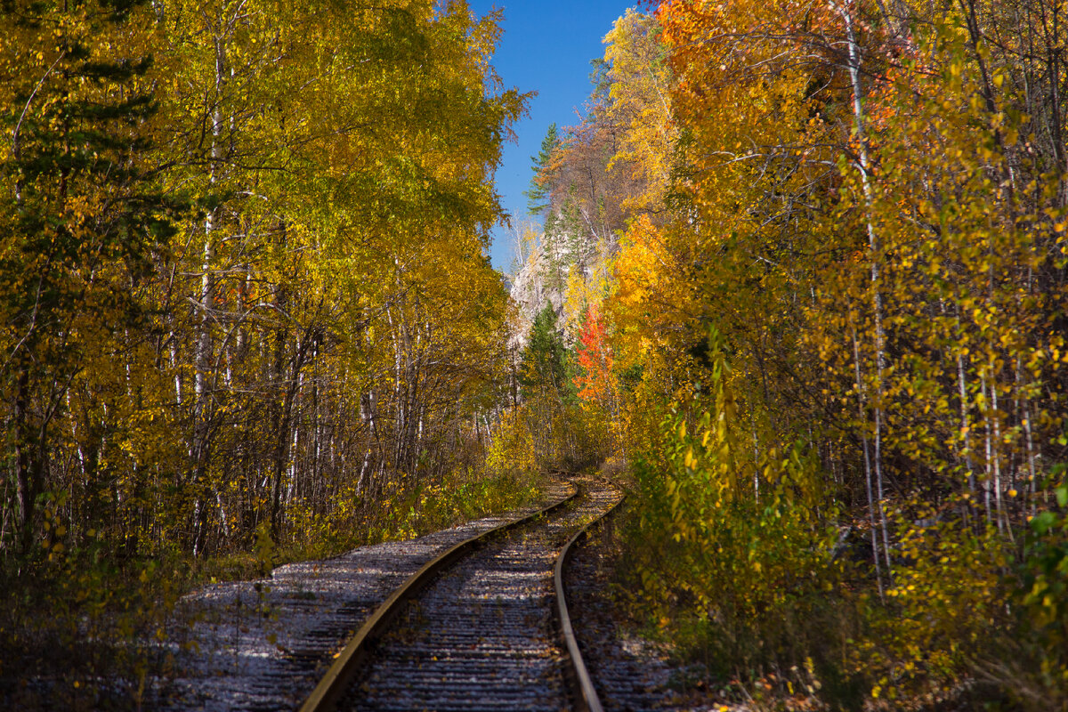 Железная дорога песни слушать. Поезда побегут по долинам равнинам и рощам. Найти фотографии железной дороги в Жигулёвских горах.