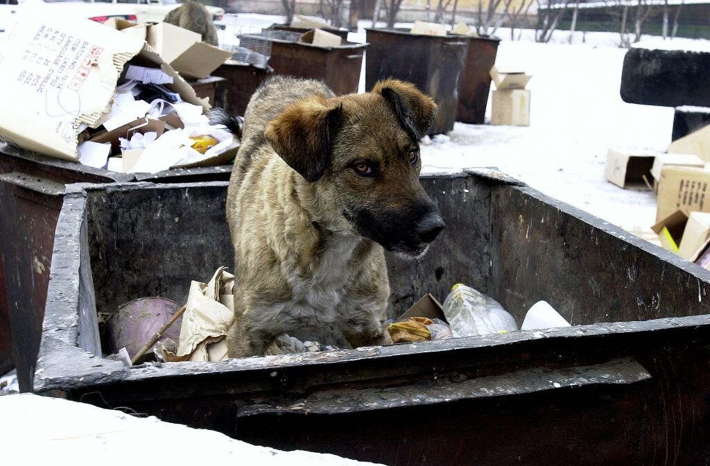    Фото: Евгений Епанчинцев