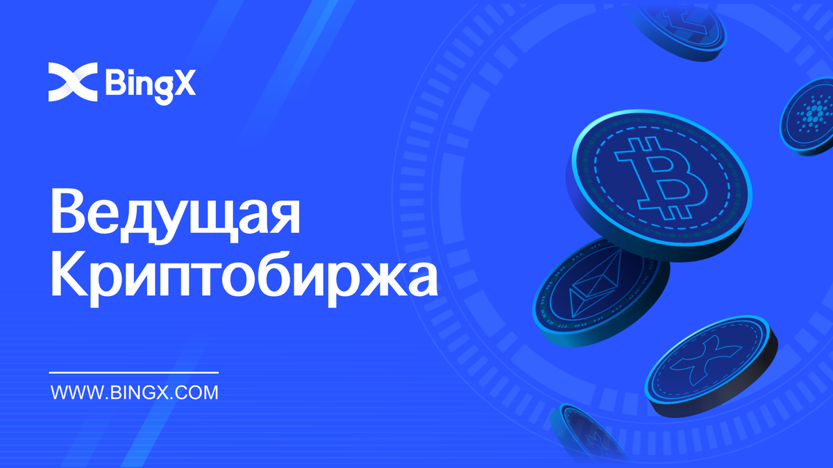 Комиссии Биржи BingX