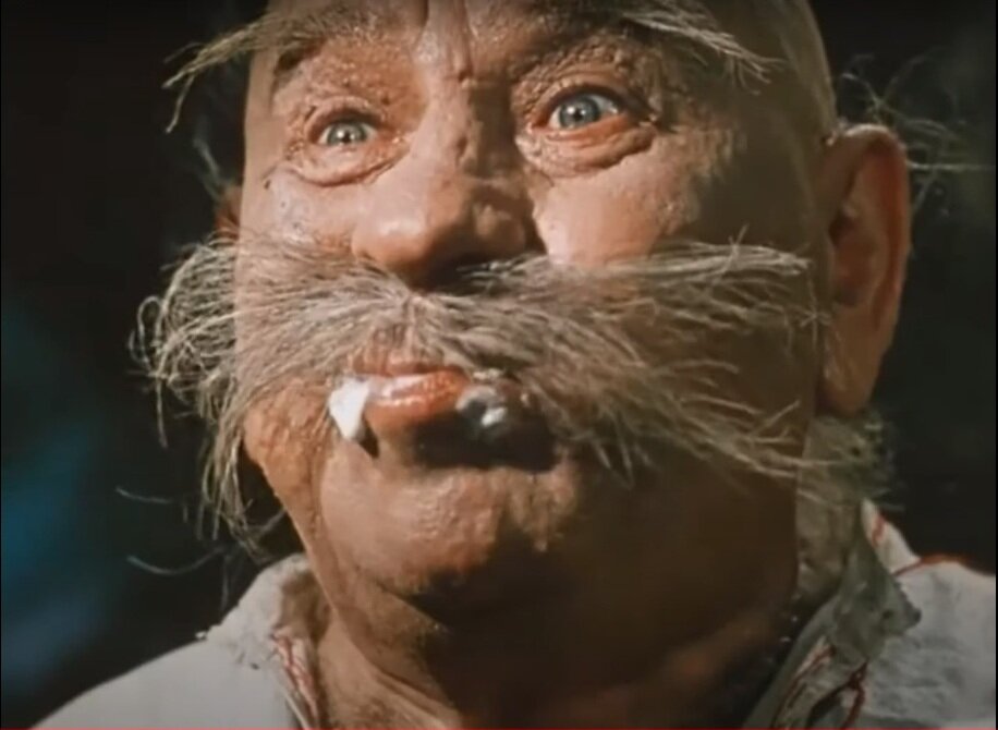 «Вечера на хуторе близ Диканьки» считаются первой книгой Николая Васильевича Гоголя. Правда, этот факт далёк от истины.-5