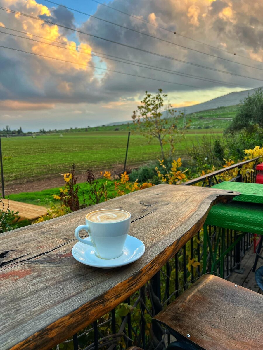 формационный и цивилизационный подходы. есть существенная разница между. отличие человека от животного обществознание 8 класс. личность и индивид отличия. сходства и различия коммерческих и некоммерческих организаций.