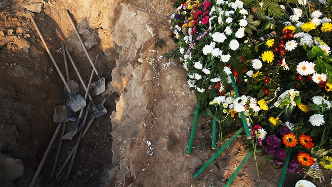 Фото: ИЗВЕСТИЯ/Зураб Джавахадзе